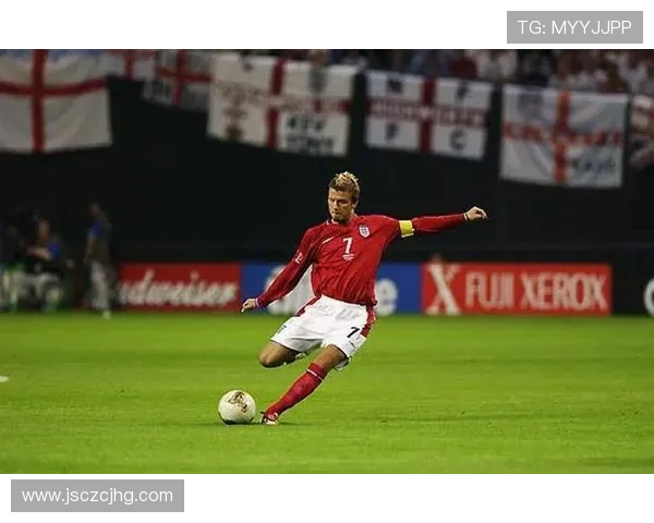 狮子雕刻的传奇足球明星背后的故事与荣耀