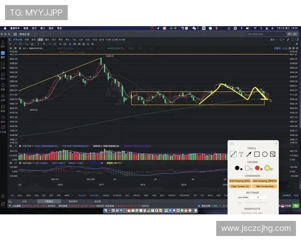 武汉羽毛球队与北京羽毛球队赛后复盘分析比赛节奏与战术对决